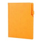 Ümitköy Turuncu Tarihli Ajanda (17x24 cm) 301116