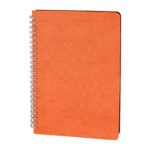 Akyurt Turuncu Tarihsiz Defter (13x21 cm) 306216